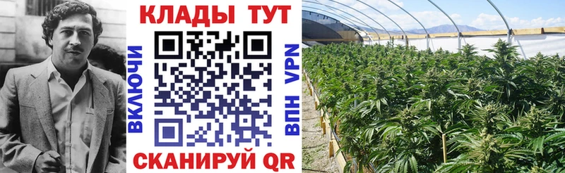 Наркота Звенигово Кодеин  МЕФ  ГАШИШ  СК  Марихуана  Кокаин 