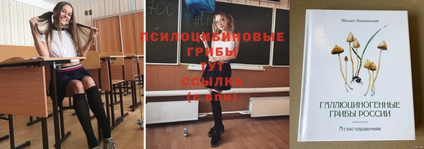 сатива Вязники