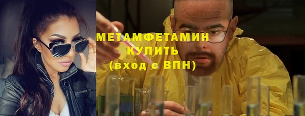индика Тобольск