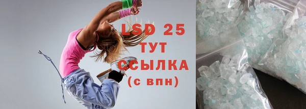 индика Гусь-Хрустальный