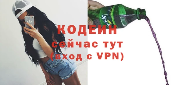 шишки Гусиноозёрск