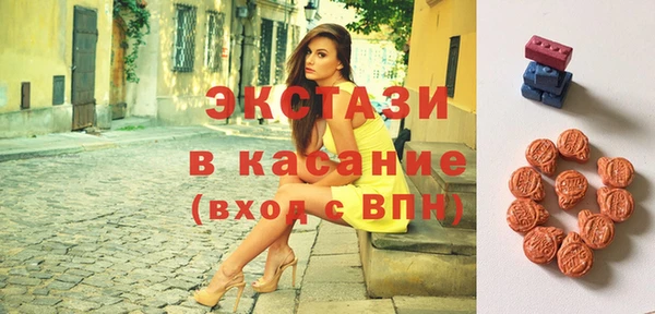шишки Гусиноозёрск