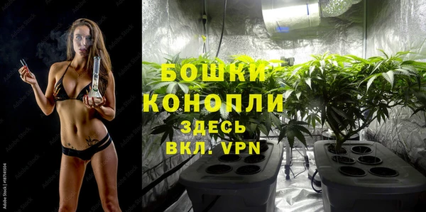 индика Гусь-Хрустальный