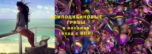 сатива Вязники
