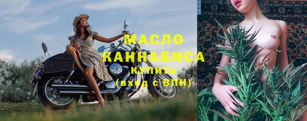 шишки Гусиноозёрск
