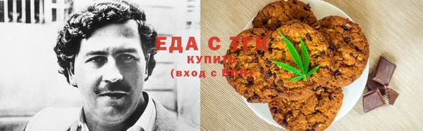 шишки Гусиноозёрск