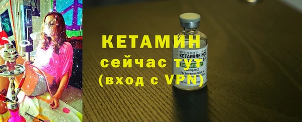 шишки Гусиноозёрск