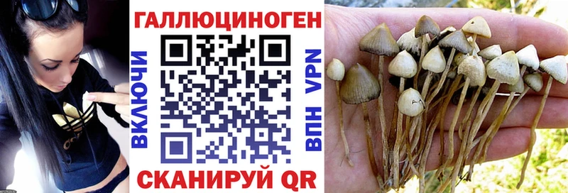 Псилоцибиновые грибы ЛСД  Звенигово 